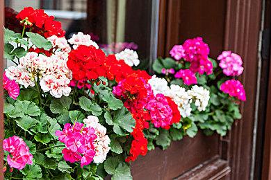 《蓝色协议》PS5＆XS版将于12＆13在日本地区推出